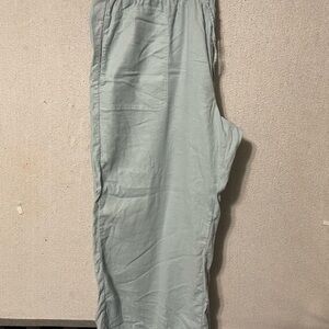 American Eagle Outfitters womens Light Blue Joggers